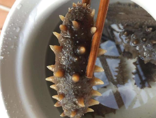 泡发好的海参怎么吃好吃又简单,怎样发海参才能吃起来好吃