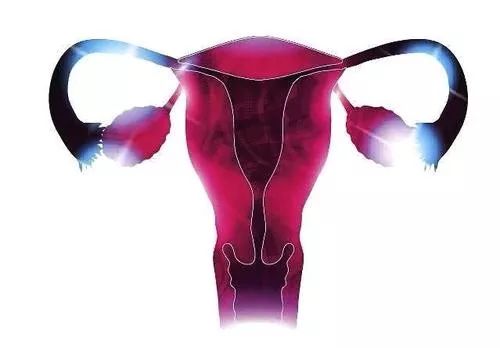 子宫肌瘤一定要手术吗,子宫肌瘤癌变手术可以根治吗