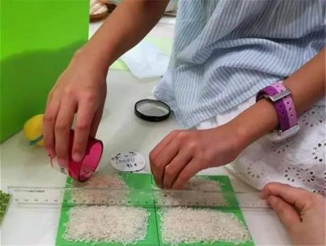 模仿名画、数大米、看月亮，老师布置的奇葩作业一山更比一山高