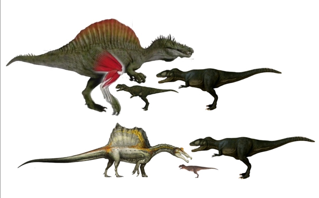 《侏罗纪公园3》棘龙打败霸王龙:主角光环实力碾压?