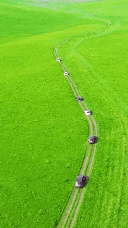 国内最适合一个人旅行的20个地方！去过才懂得什么是自由