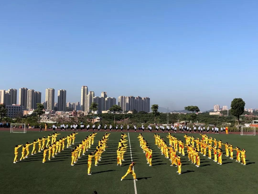 年终特辑|官微带你一起盘点泉信人的2019关键词