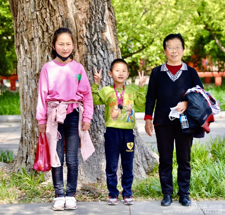 看洛阳牡丹花卉节,洛阳古都牡丹花展