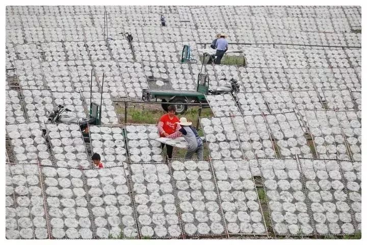 大叔年薪365万,男子做烧饼年薪35万