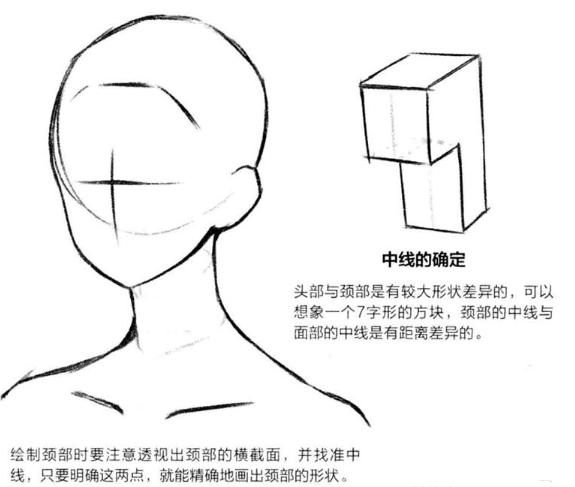 零基础漫画侧脸教程,初学漫画头入门零基础