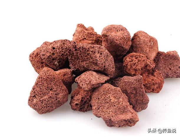 鱼缸养鱼四大神器,养鱼鱼缸水质净化神器