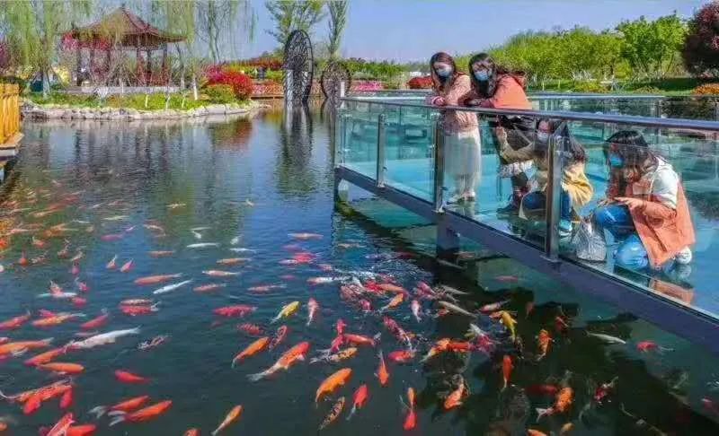 5.17遇见Ta在一起|这里有个不一样的脱单机会,速来~