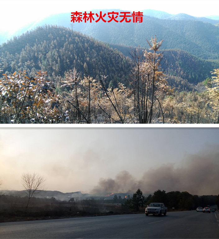 林业礼赞——世界最后一滴水将是人类的眼泪吗