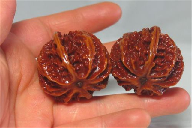 閲庢牳妗冪洏濂界殑鏍峰瓙,娉ㄦ剰鍥涚偣缁嗚妭