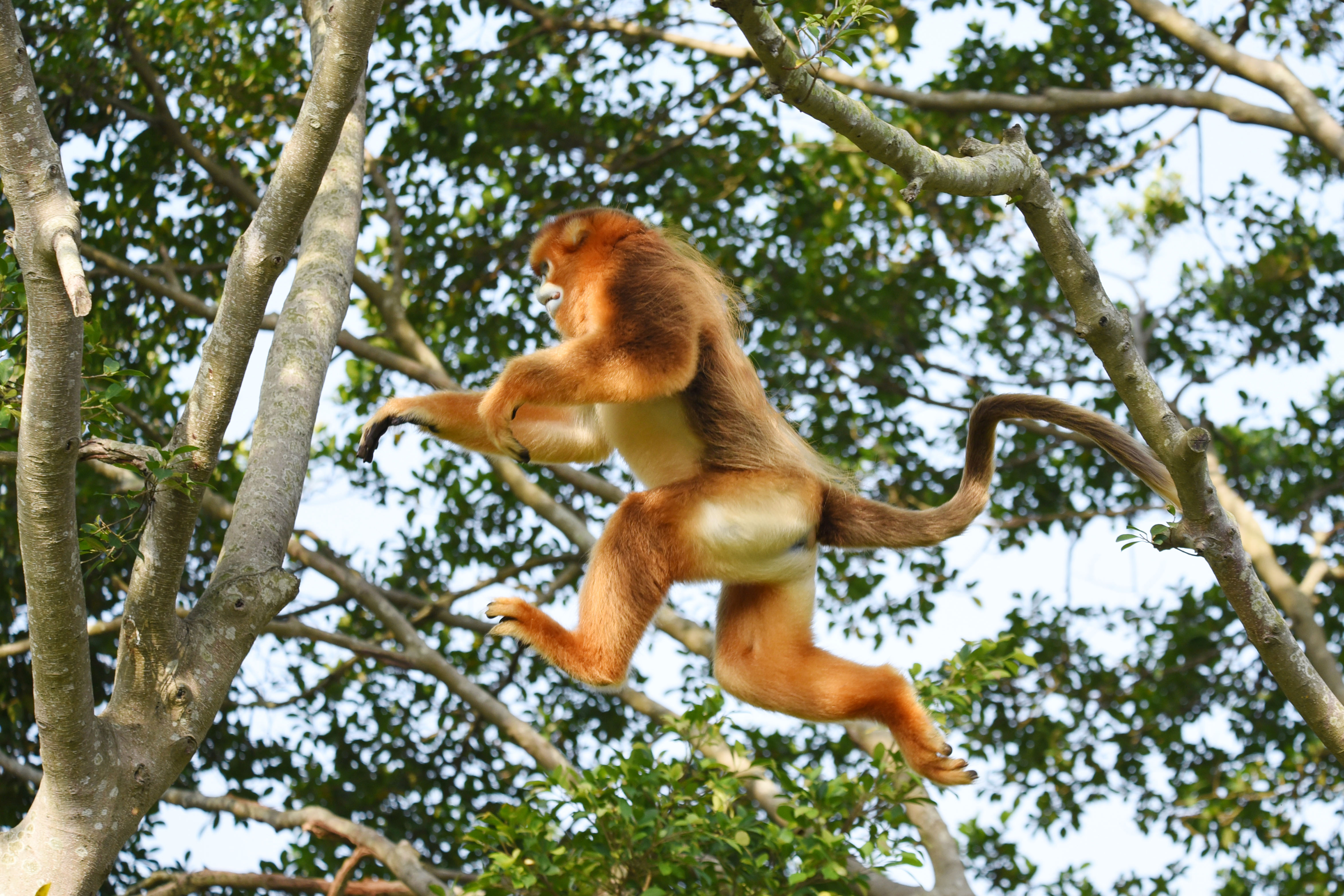 五一旅游必看的10个项目,五一期间有十大景区最受欢迎