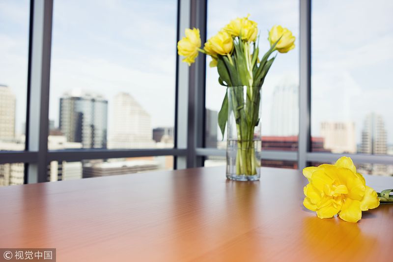 展现真诚与坚韧,展示你的真诚