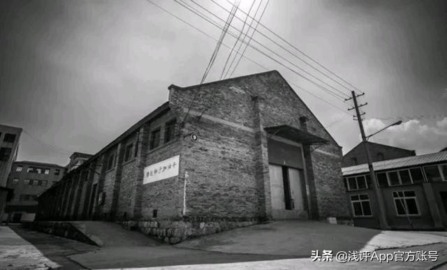 普洱茶上面的数字序号代表什么,普洱茶标号有何含义及特点