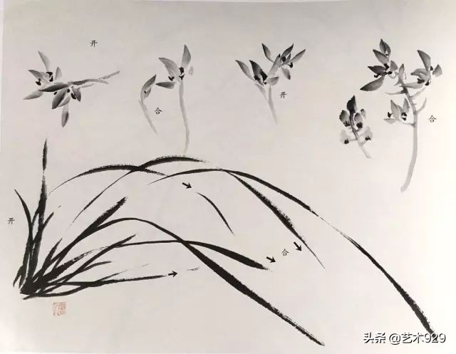 国画兰花的画法太棒了简单易学,泰国兰花绘画技法