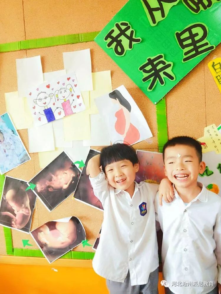 身体大揭秘动画,身体大揭秘