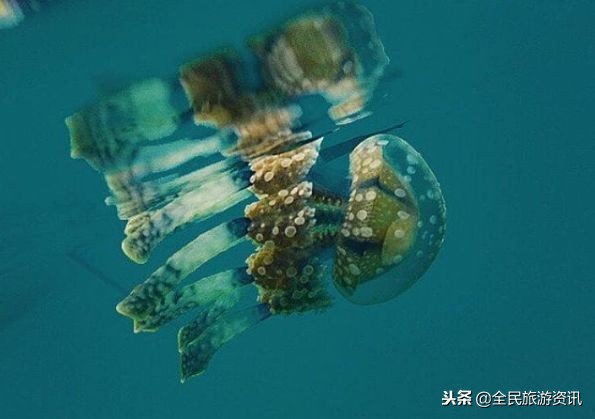 离中国很近的国家,小众冷门旅行地推荐