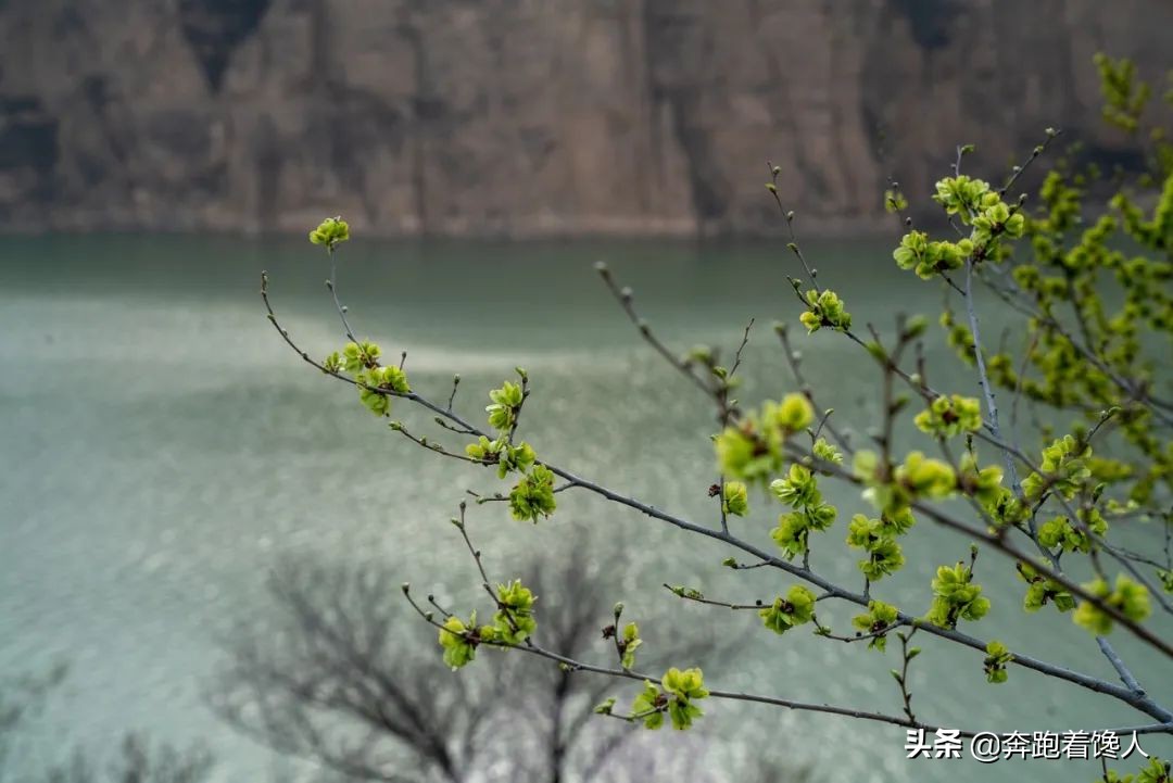老牛湾的炸黄河虾，绝了
