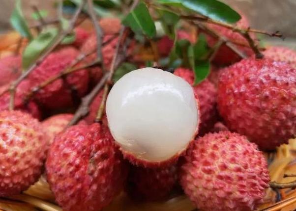 空腹吃什么水果最容易长胖,适合晚上代餐的水果