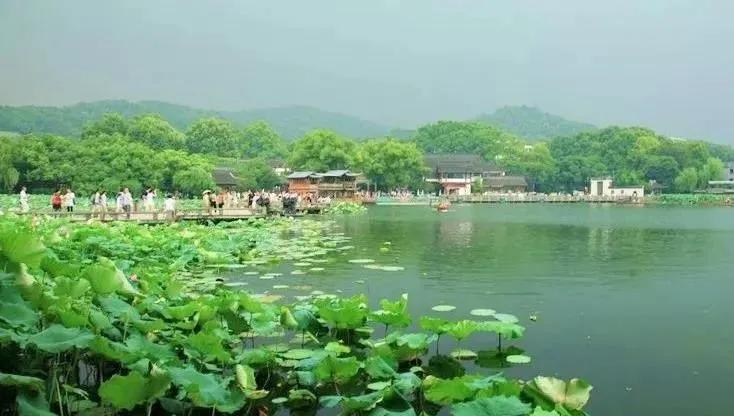 鑻忓窞鍥灄vs鏉窞瑗挎箹,鏉窞瑗挎箹vs鑻忓窞鍥灄