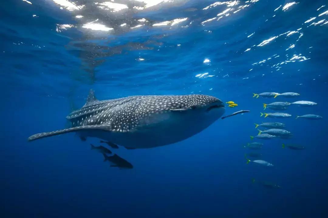 你不知道的东南亚！我们挖掘了11个人少景美的地方，不输欧洲