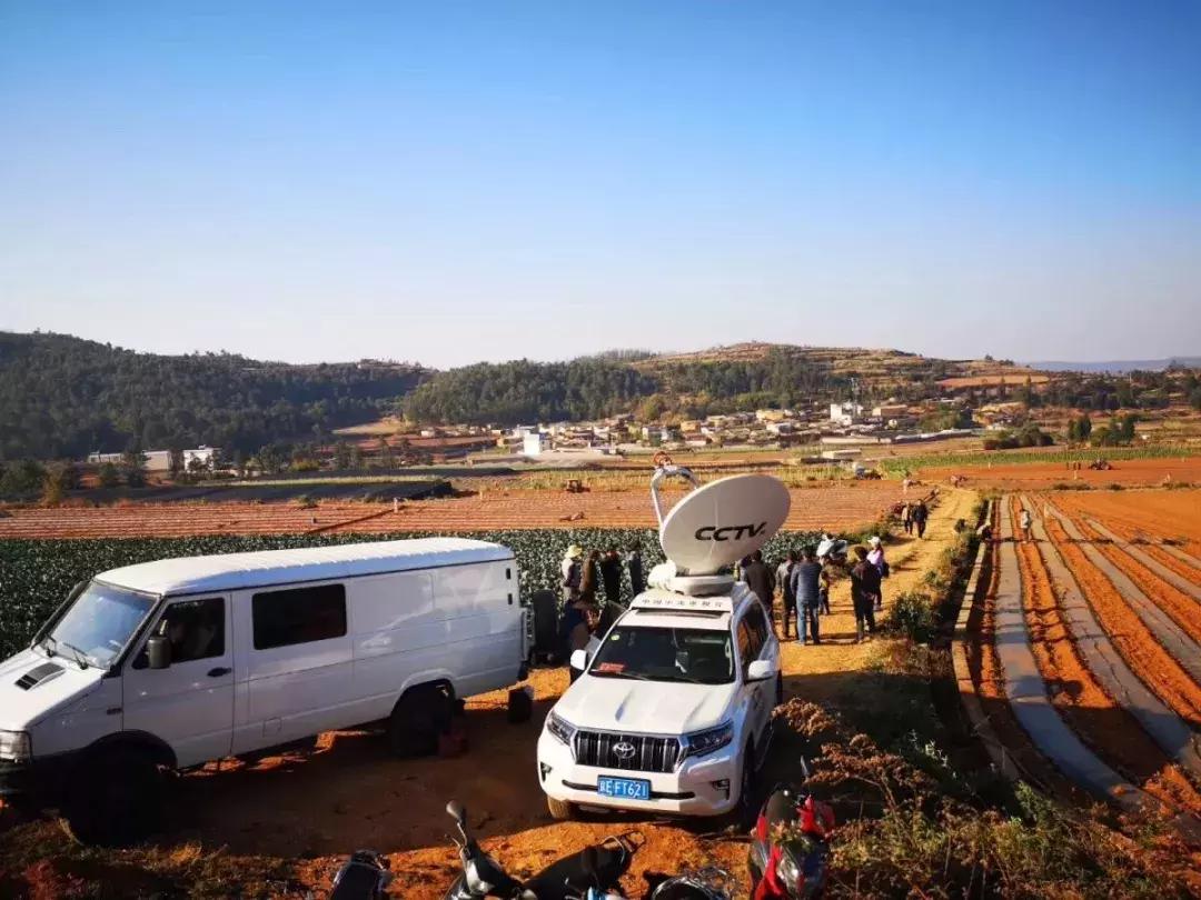 云南玉溪市蔬菜种植基地,玉溪通海蔬菜种植基地