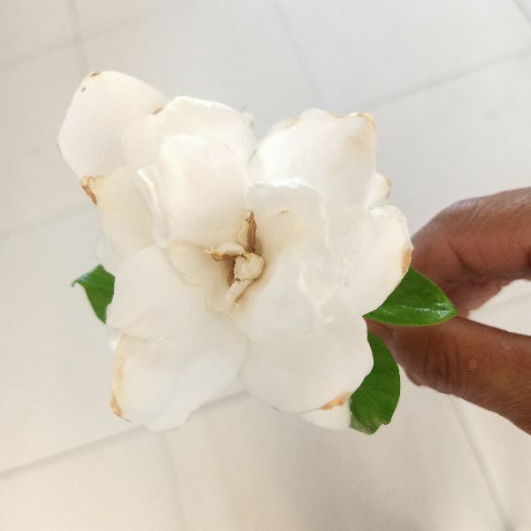 武汉恒发科技有限公司怎么样,武汉恒发科技有限公司简介