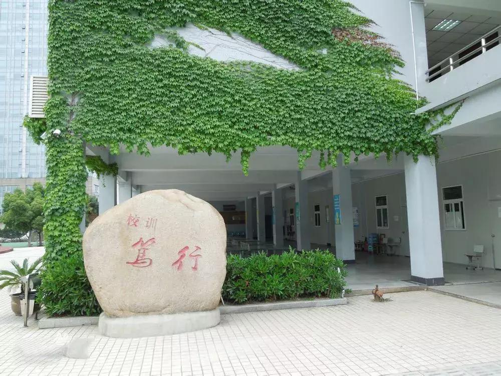 名初系列｜科利华：低调的作风，高调的成绩！