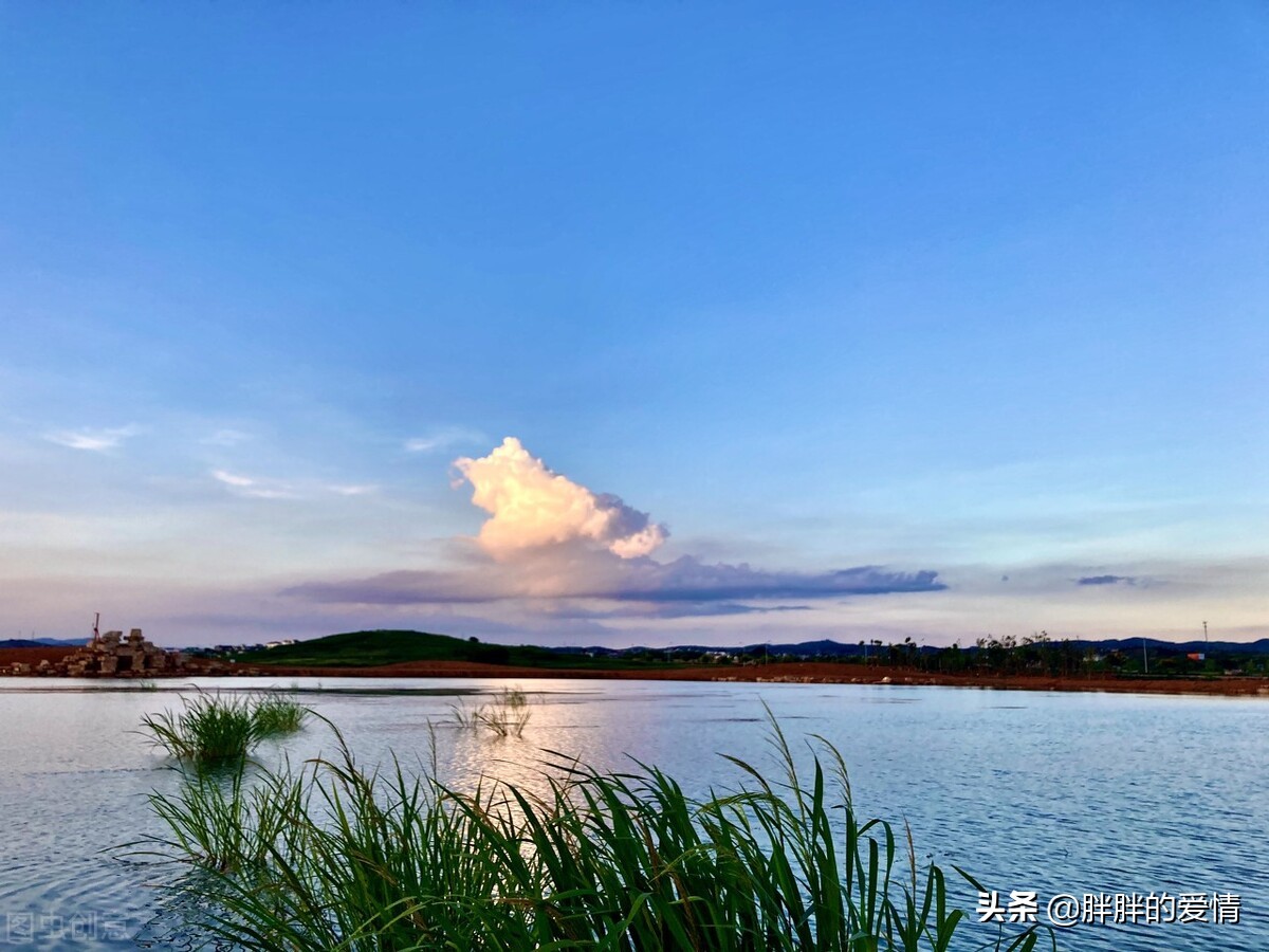 耐得住寂寞才守得住繁华经典句子,来是偶然去是必然且行且珍惜