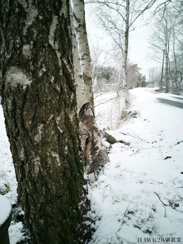 迷彩伪装效果图片,美军acu迷彩服伪装效果