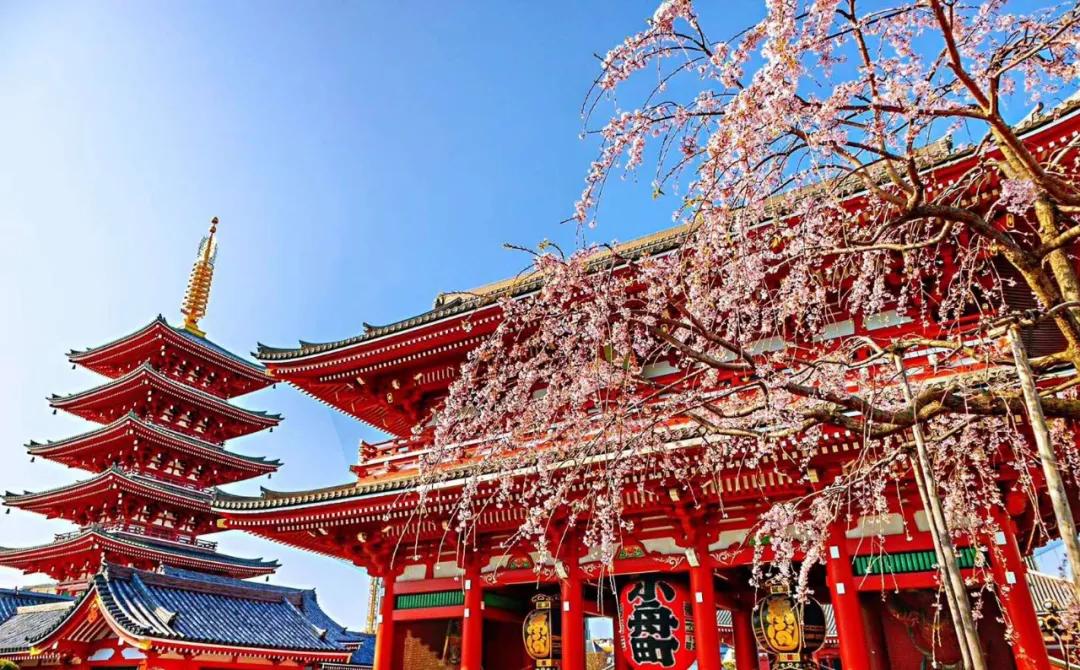 日本各县平均收入,日本47个都道府县的特色