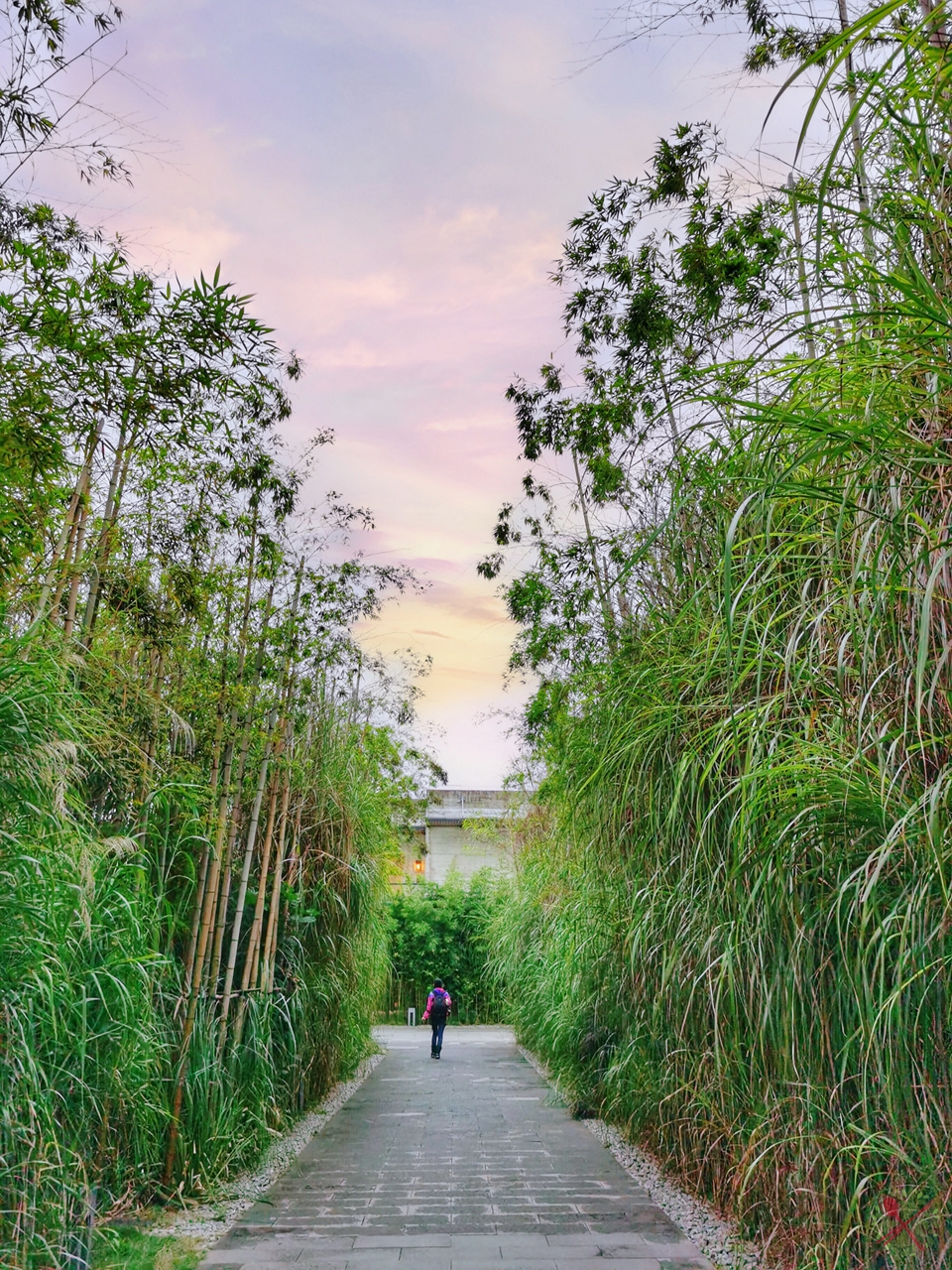 广州簕杜鹃瀑布,广州附近的高山瀑布