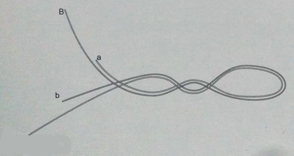 海钓pe各种线结打法,pe线海钓线结绑法