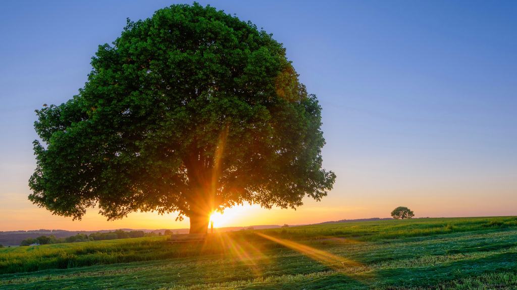 如果和女朋友分手了如何追她回来,女朋友说不合适分手怎么挽回
