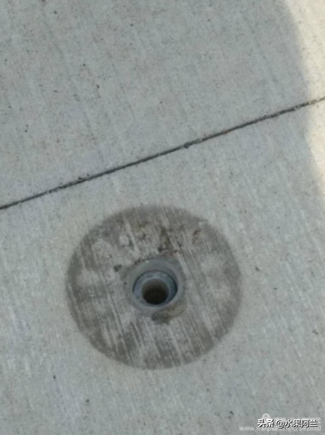 国际出行攻略,新西兰旅游攻略租车