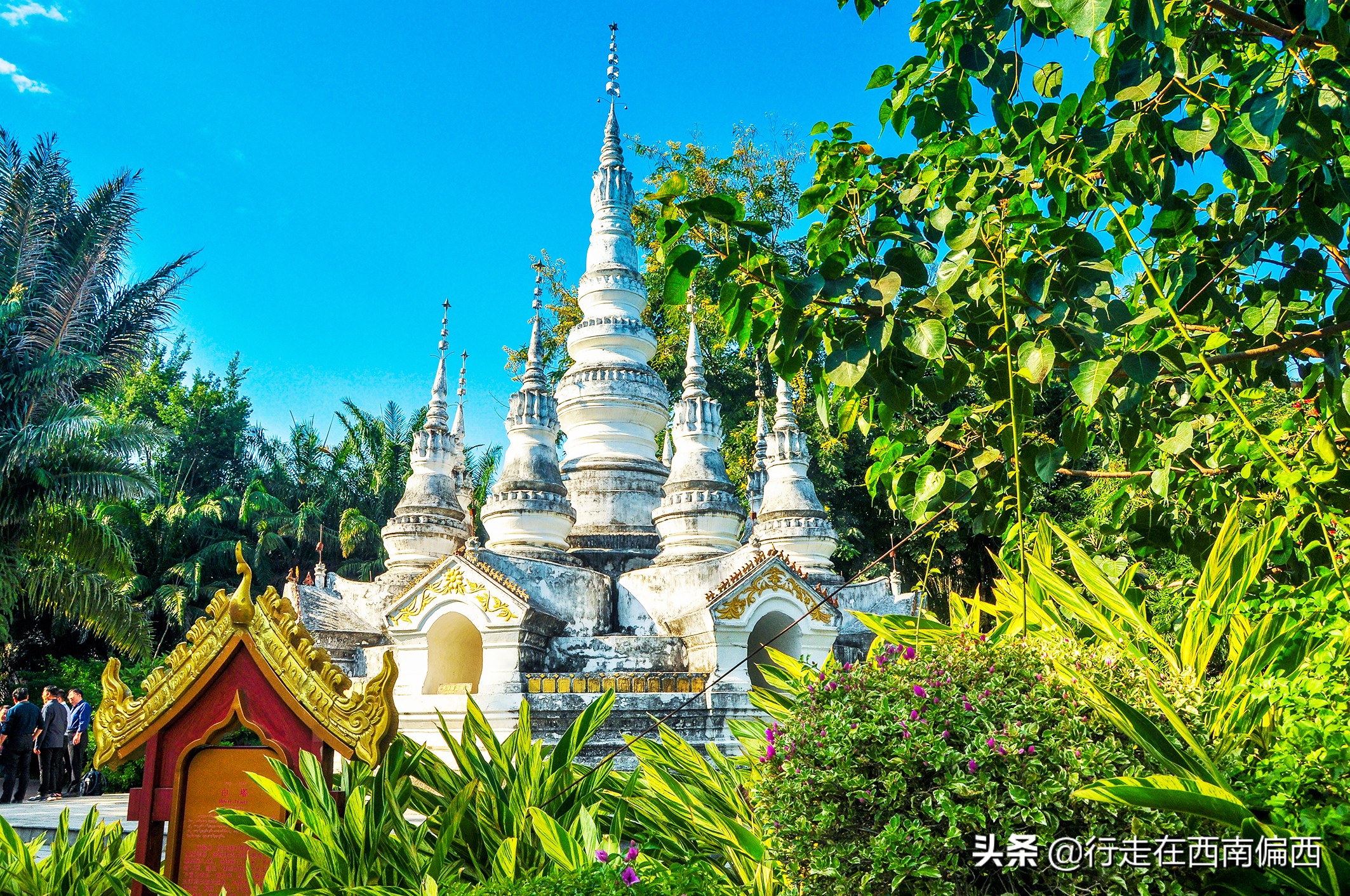 西双版纳五树六花中心,西双版纳五树六花地理位置