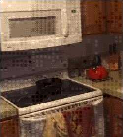 厨房是猫咪的修罗场，随便一项就能重伤