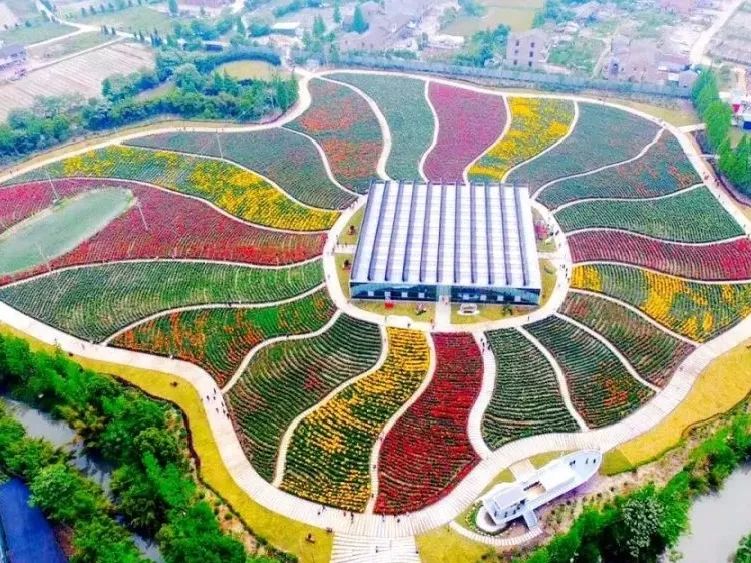 幸福道路越走越宽,幸福道路越走越宽阔