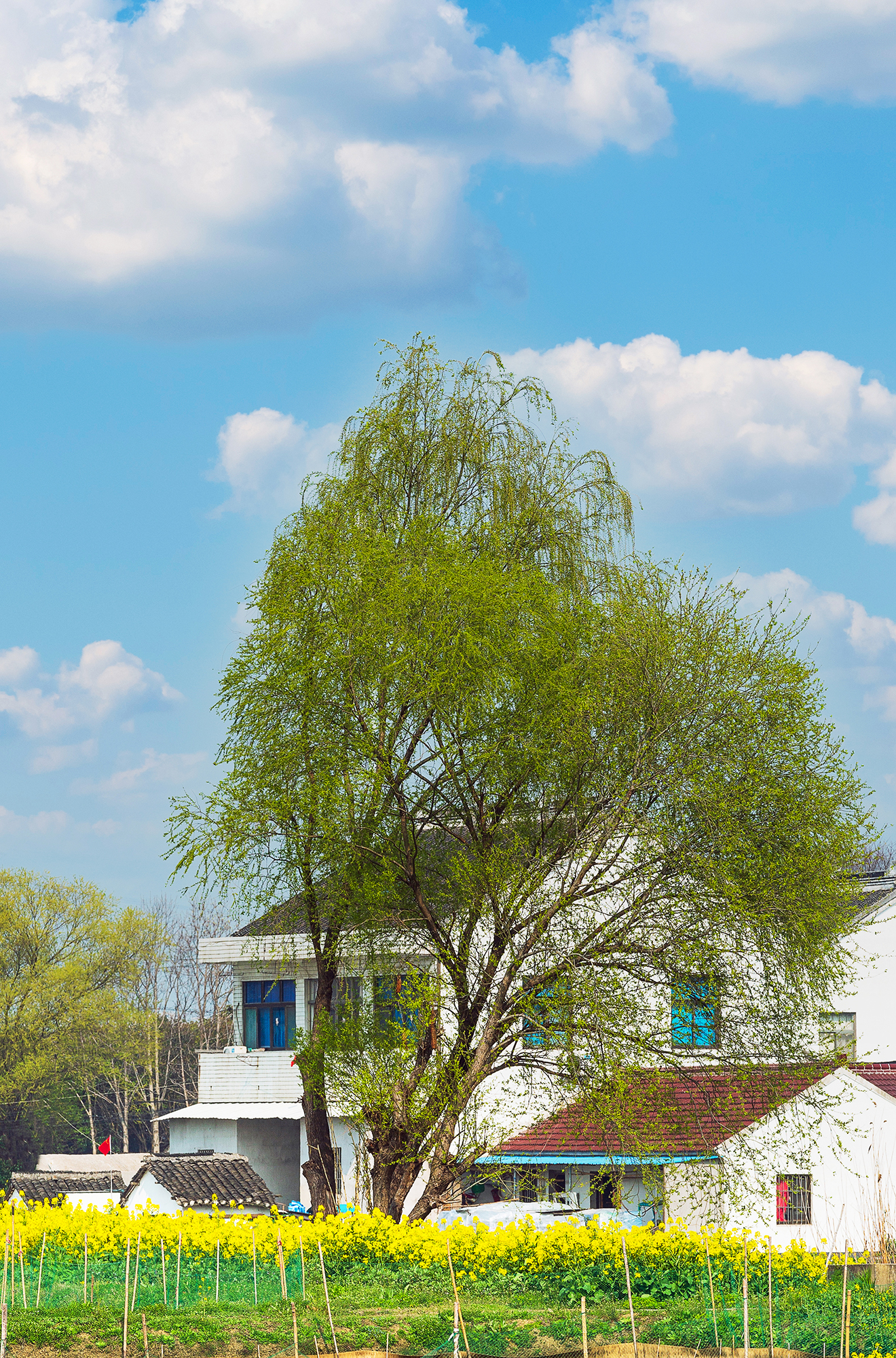 刚好我也喜欢你暮回全文阅读,刚好我也喜欢你小说完整版