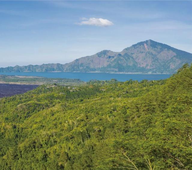 姝e吀鐕曠獫杩涘彛楂樼鐕曠洀,杩涘彛澶х洀绮惧搧鐕曠獫