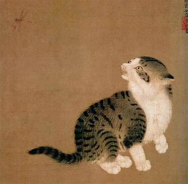 中国人为啥不吃猫原来原因在这里,中国人为什么不吃掉猫