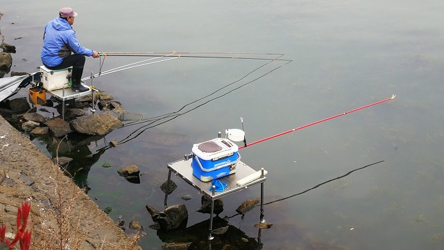 窝子里面有鱼泡就是不吃钩怎么办,窝里有小泡但没有鱼咬钩