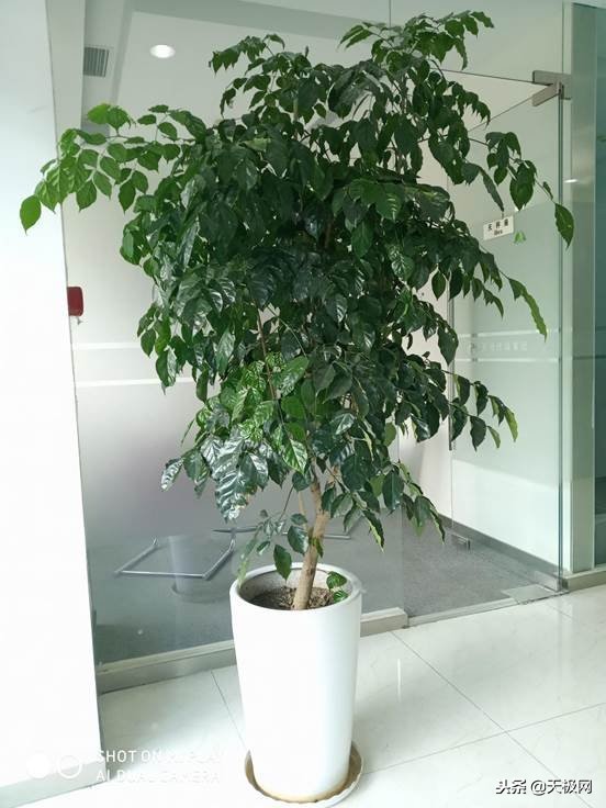 免费流量利用方法,免费流量是什么套路