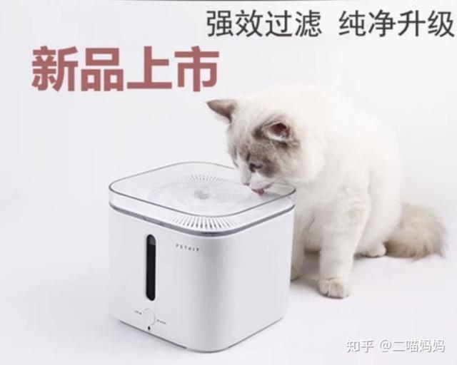 铲屎官的日常操作方法,新手铲屎官如何与猫咪愉快的交流