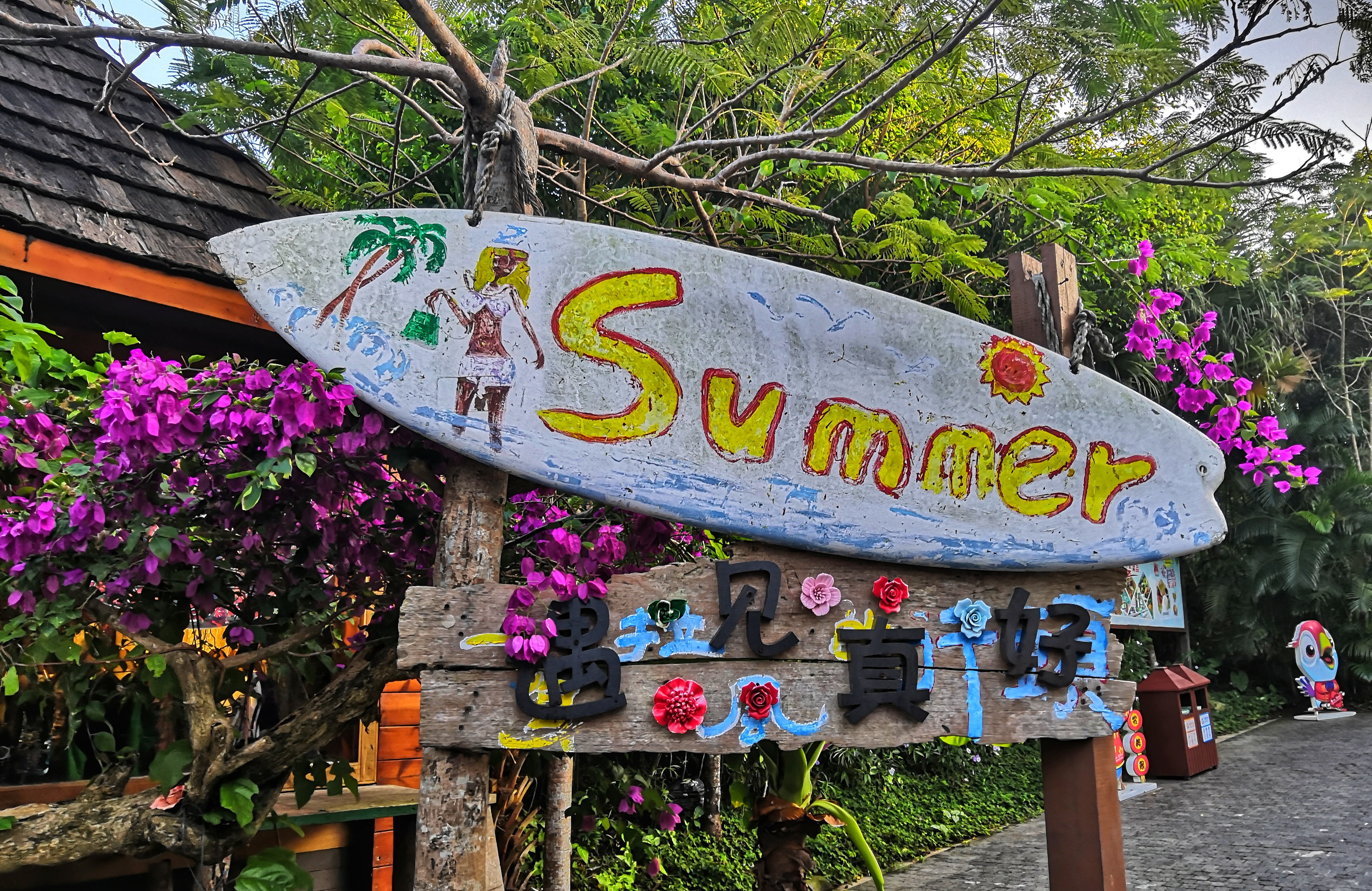 三亚亚龙湾热带天堂森林公园攻略,三亚好玩的原始森林