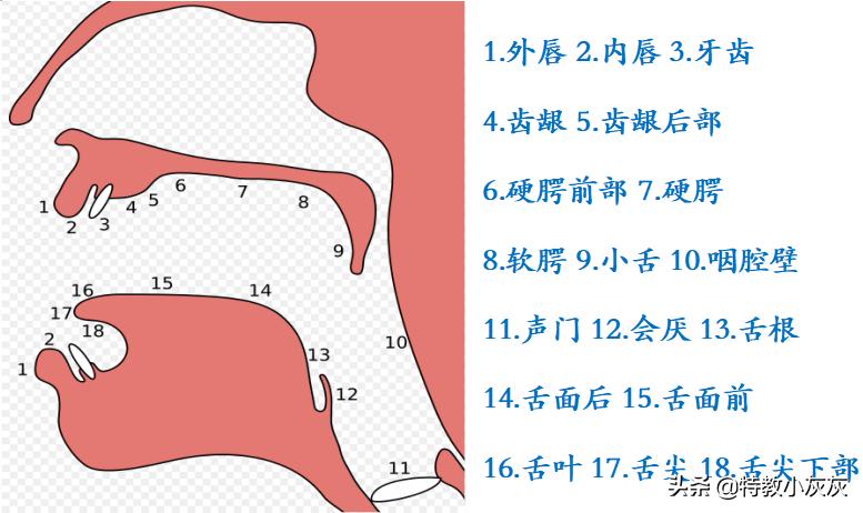 小学拼音怎么学好声母,幼儿拼音韵母声母教学视频全集