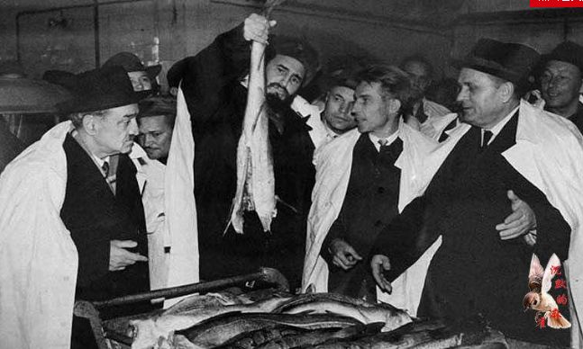 卡斯特罗曝光照片,卡斯特罗拍摄视频