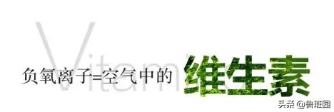 竹炭板是什么材料做的,装修用竹炭板材