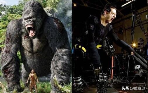 金刚电影各种怪兽排名,金刚骷髅岛大战怪兽电影