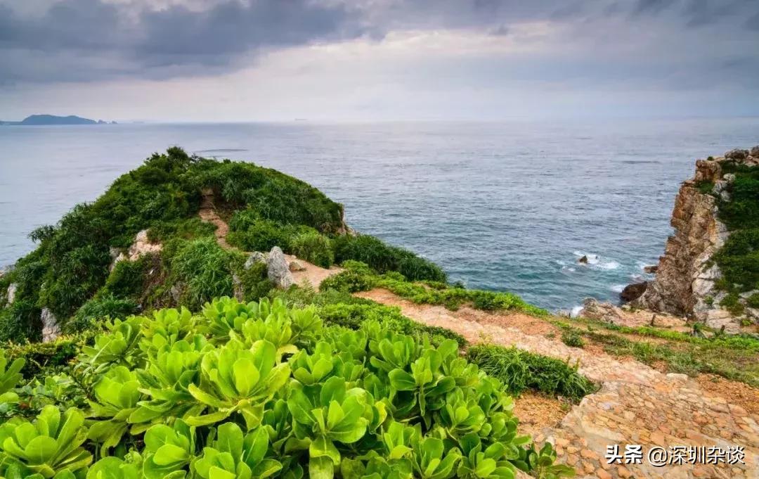 深圳杨梅坑溪谷,深圳最美溪谷杨梅坑