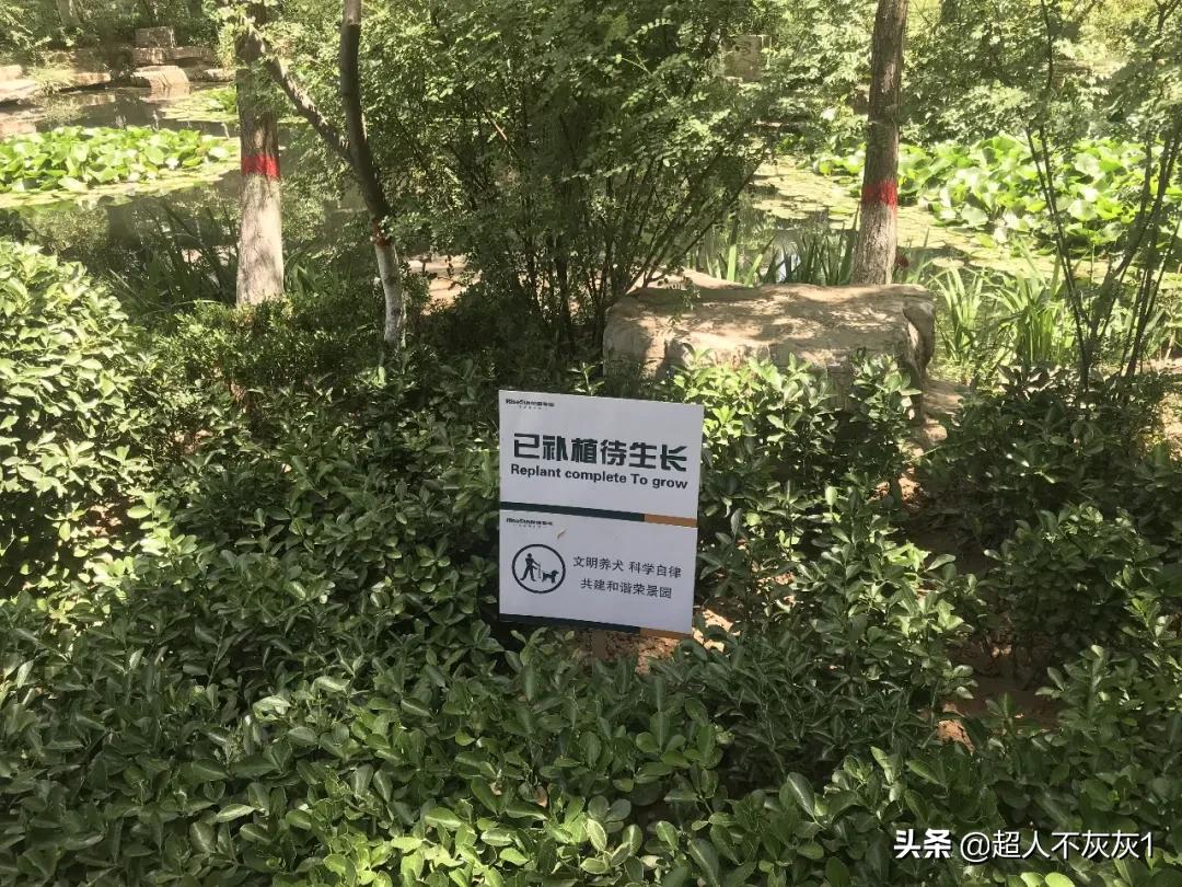 石家庄园林景观最好的小区：一流学区，江南水景，交房超过十年