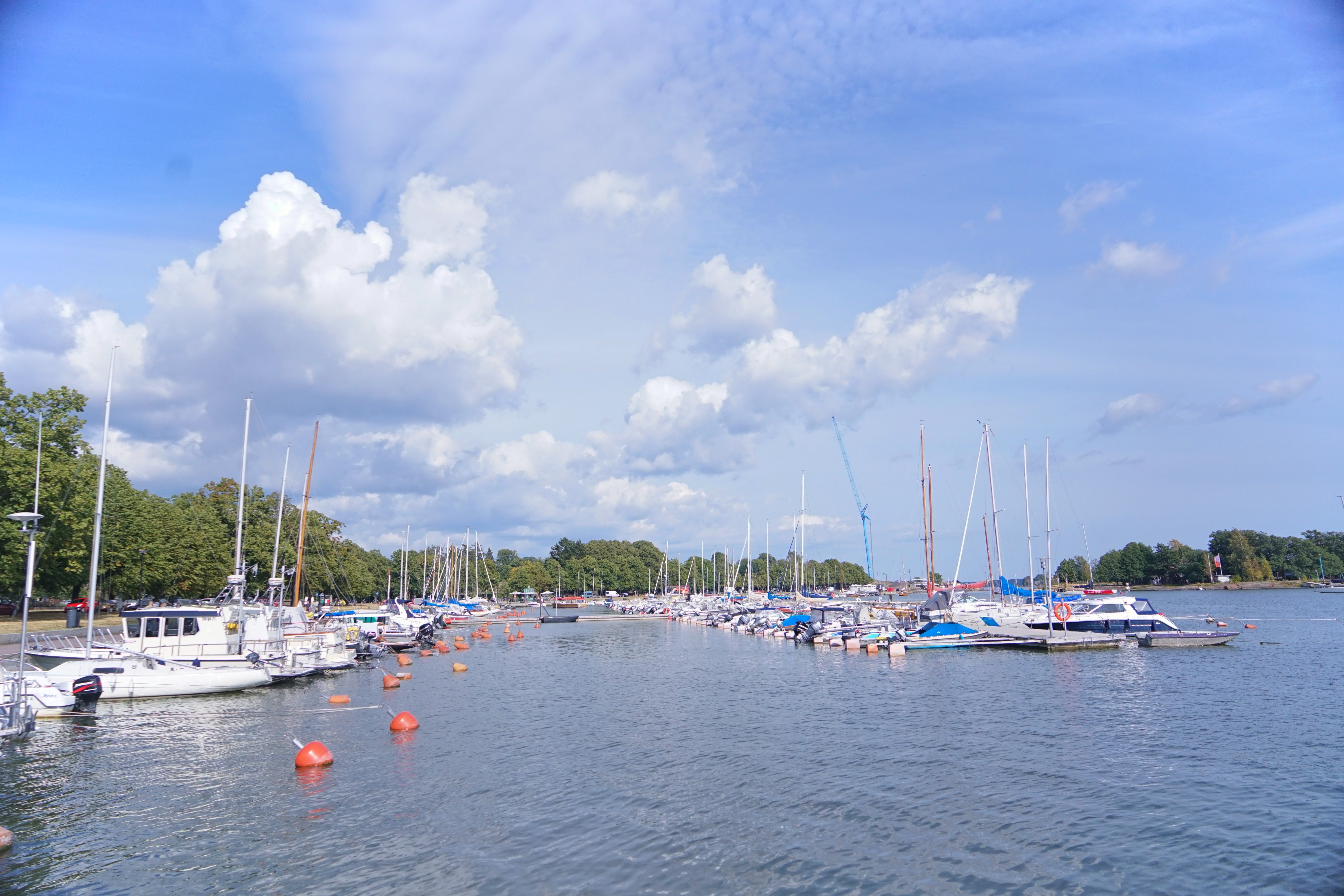 不会英语也能嗨的国家,不会英语能游遍世界吗